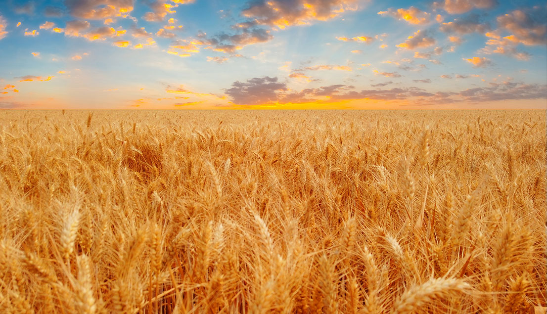 �Ƿ�����-��������ƽ̨��Ϸ-�Ƿ����ֹ���